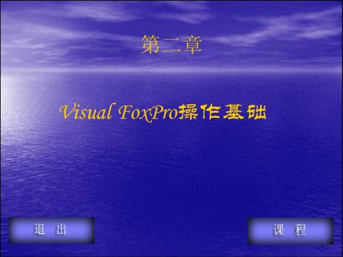 vf最新最全课件第二章项目设计