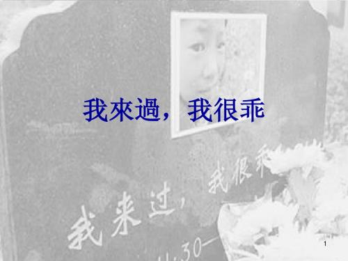 我来过我很乖15
