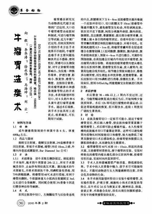 牛瘤胃造瘘术