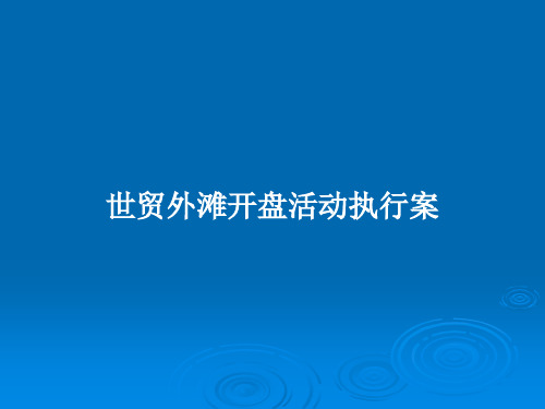 世贸外滩开盘活动执行案PPT学习教案