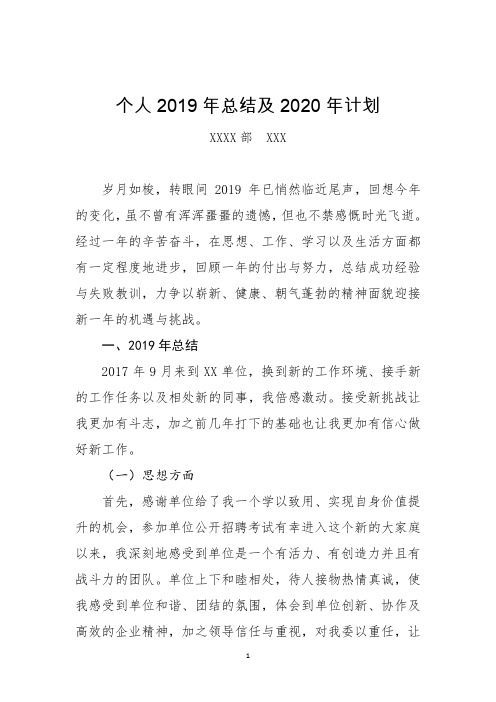 个人2019年总结及2020年计划
