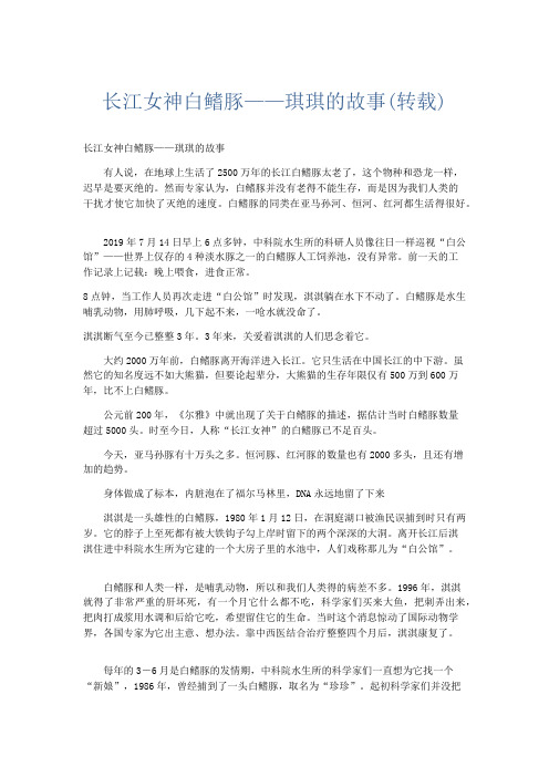 应用文 长江女神白鳍豚——琪琪的故事(转载)-精品