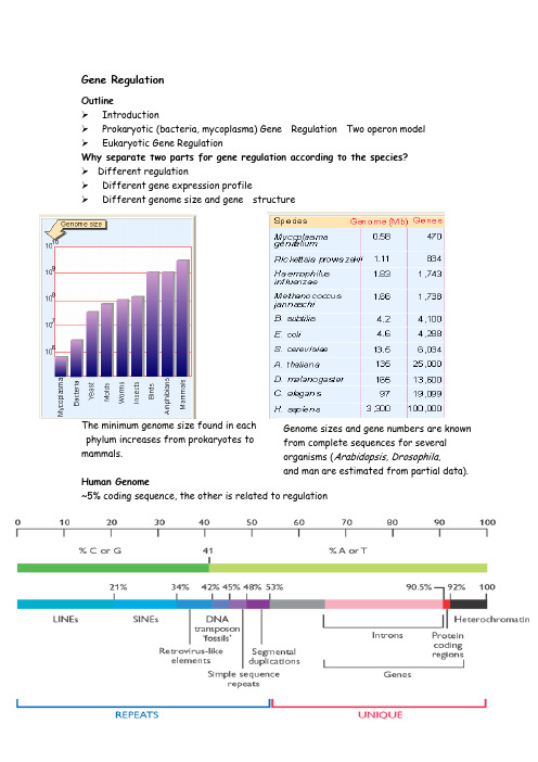 Gene Regulation
