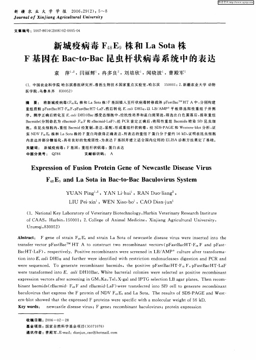 新城疫病毒F48E9株和La Sota株F基因在Bac-to-Bac昆虫杆状病毒系统中的表达