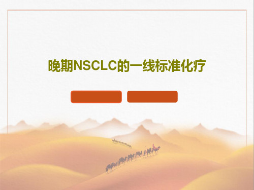晚期NSCLC的一线标准化疗PPT文档共33页