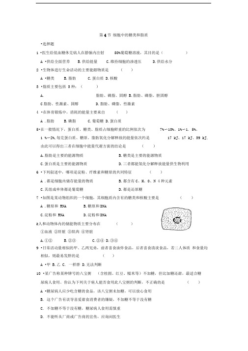 第4节细胞中的糖类和脂质