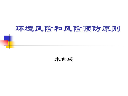 环境风险和风险预防原则
