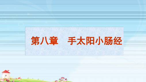 经络腧穴学概述 第八章 手太阳小肠经