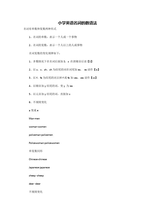 小学英语名词的数语法