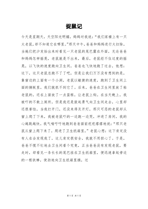 捉鼠记_六年级作文_1