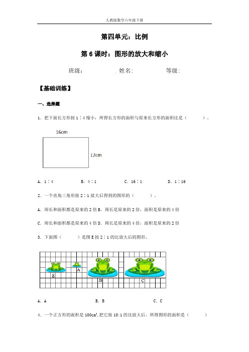 【分层训练】4.3.2 图形的放大和缩小  六年级下册数学同步练习 人教版(含答案)