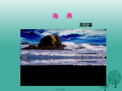 八年级语文下册第2单元9海燕课件新人教版
