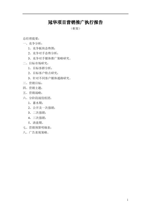 ××项目营销推广执行报告(1).doc
