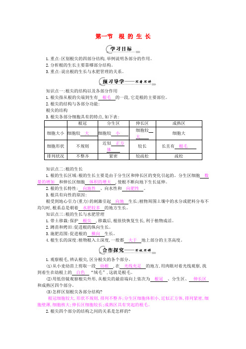 【精品】冀教版八年级生物上册：第3单元 第2章 第1节《根的生长》导学案