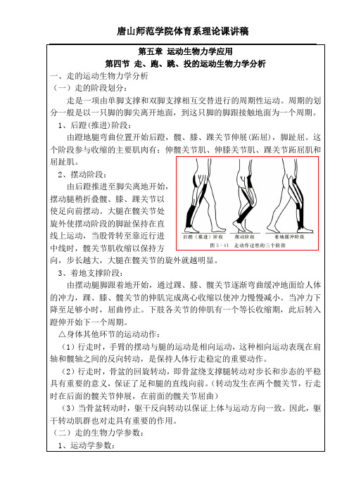 08级运动生物力学讲稿(第五章 5)