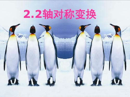 轴对称变换