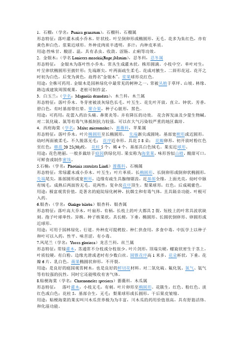 滨州学院植物