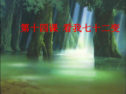 想象作文《假如我是。。。》精品PPT课件