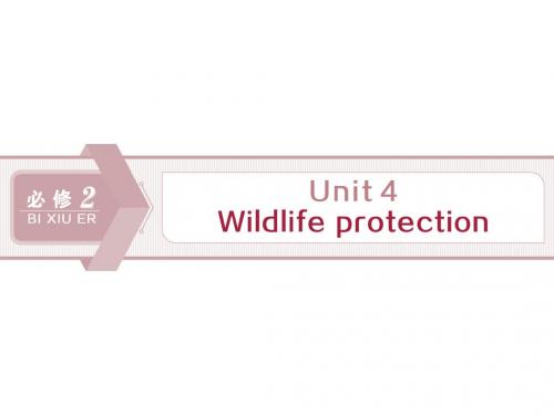 2020新高考英语一轮浙江专用必修2   Unit 4 Wildlife protection