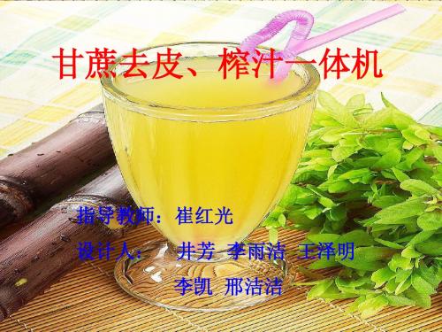 机械设计大赛(甘蔗去皮榨汁一体机)