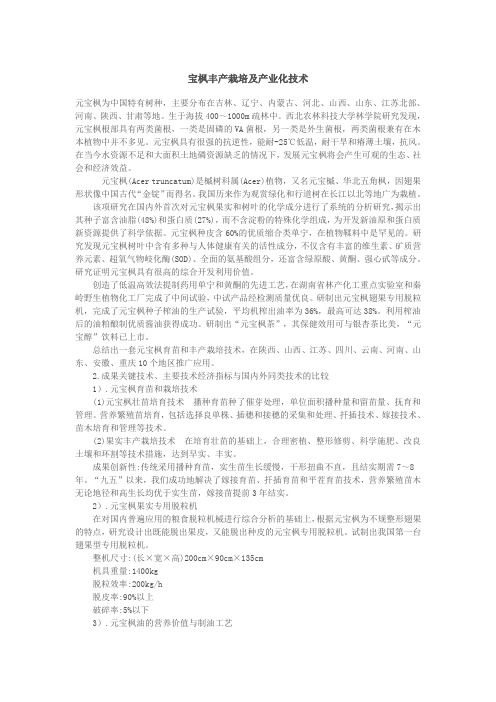 宝枫丰产栽培及产业化技术