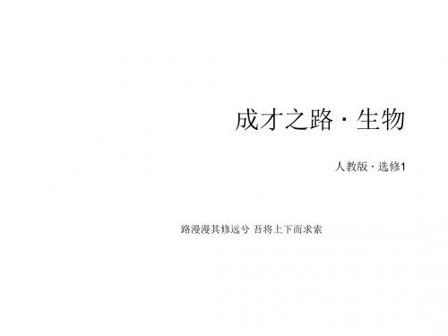 高二生物人教版选修1课件专题6课题1《植物芳香油的提取》
