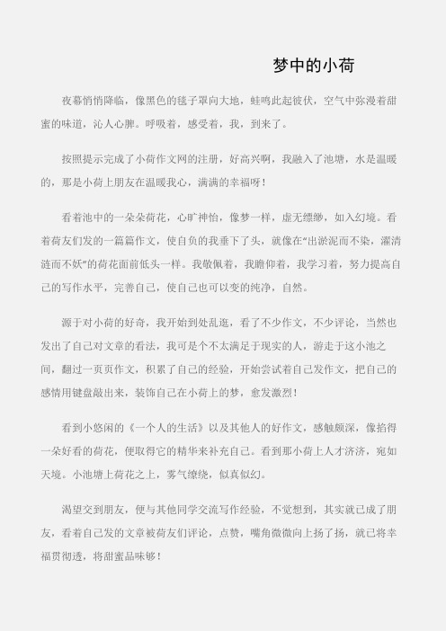 (初中记叙文)梦中的小荷