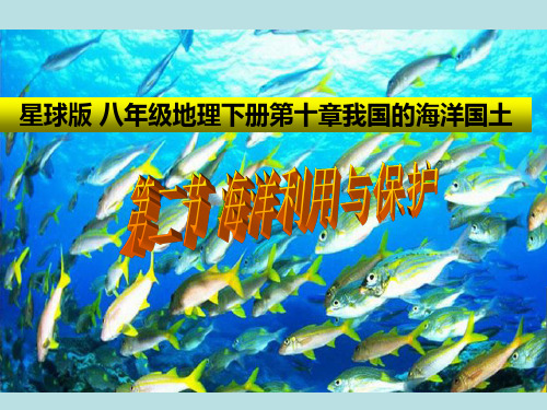 星球地理八年级下册第十章第二节 海洋利用与保护(共38张PPT)