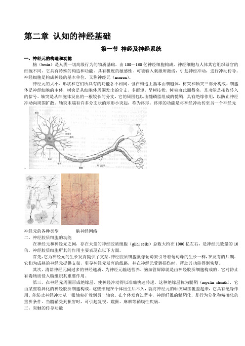 第二章 认知的神经基础