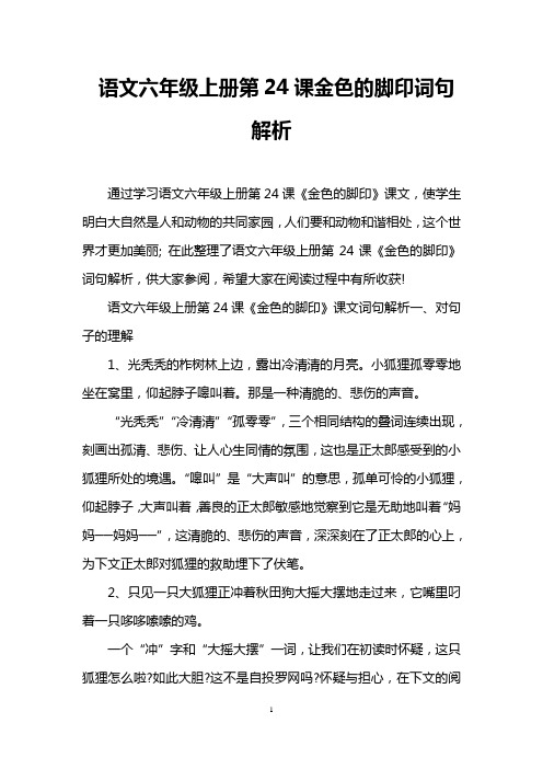 语文六年级上册第24课金色的脚印词句解析