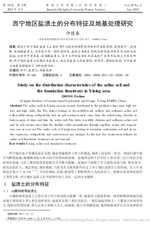 西宁地区盐渍土的分布特征及地基处理研究