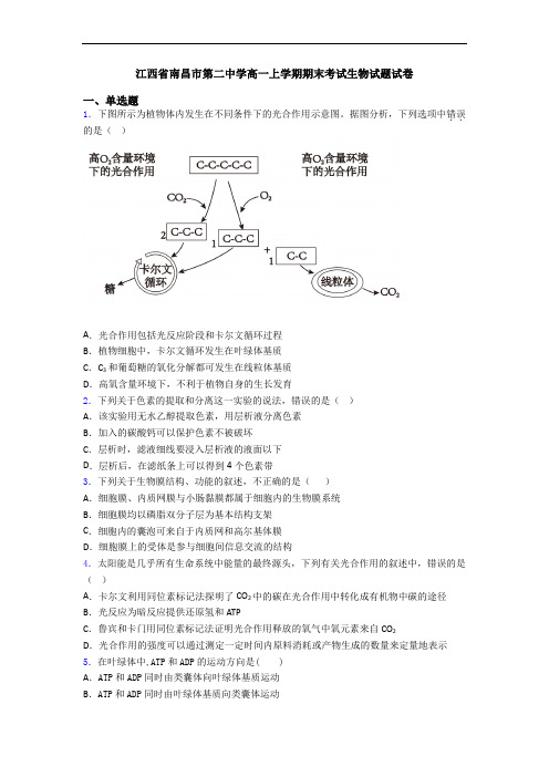 江西省南昌市第二中学高一上学期期末考试生物试题试卷