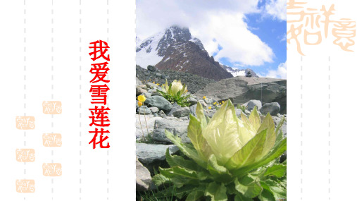 四年级音乐课件我爱雪莲花课件_ppt_人音版