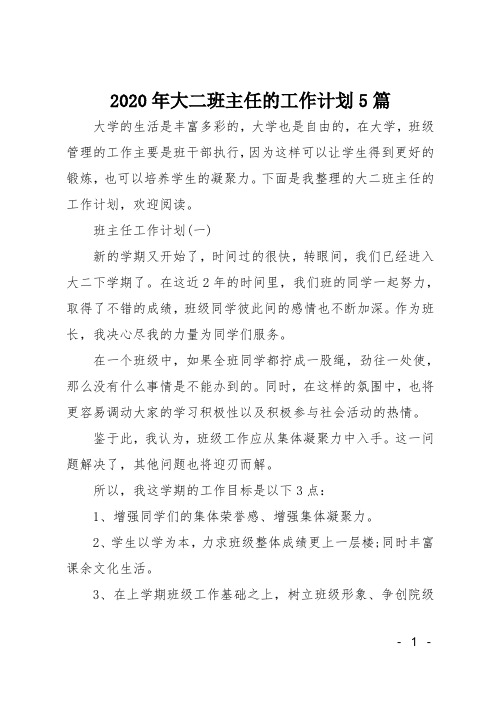 2020年大二班主任的工作计划