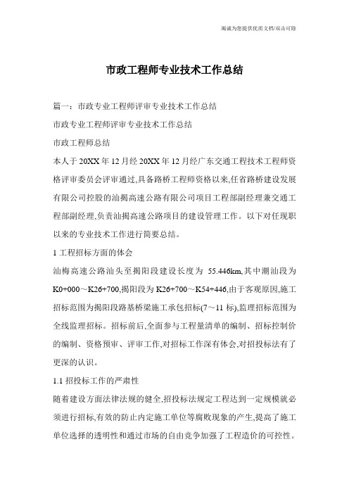 市政工程师专业技术工作总结