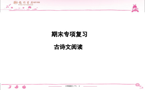 (黄冈小状元作业本)部编版六年级语文下册 期末专项复习 古诗文阅读