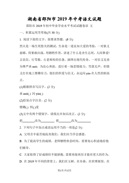 湖南省邵阳市中考语文试题
