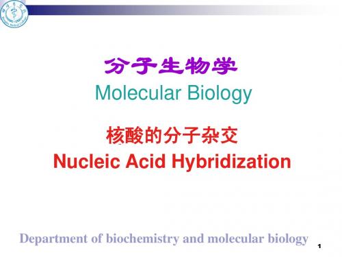 核酸分子杂交_(1) - 副本