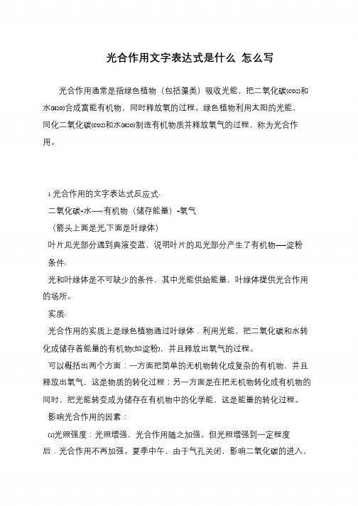 光合作用文字表达式是什么 怎么写