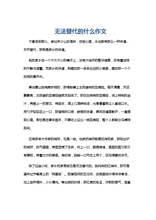 无法替代的什么作文