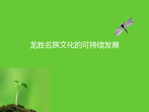 龙胜旅游文化可持续发展案例分析