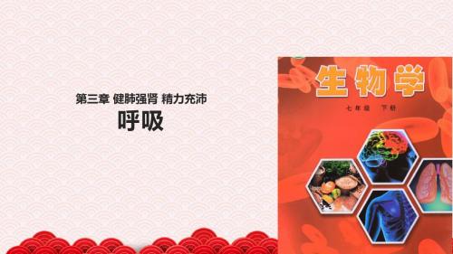 七年级下册生物课件-2.3.1《呼吸》课件 冀少版