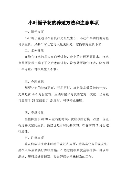小叶栀子花的养殖方法和注意事项
