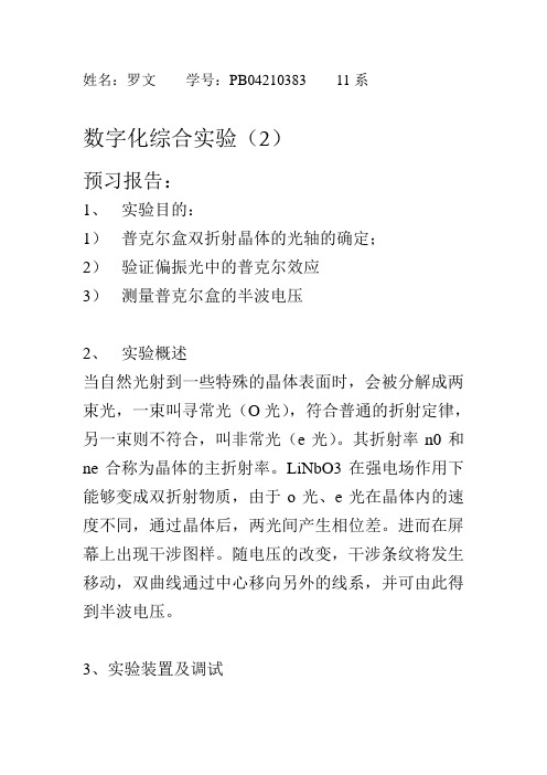 数字化综合实验(罗文)