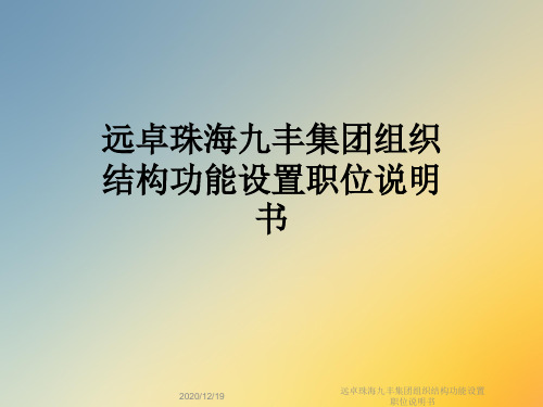 远卓珠海九丰集团组织结构功能设置职位说明书