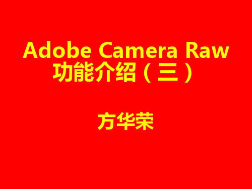 Adobe Camera Raw功能介绍(三)