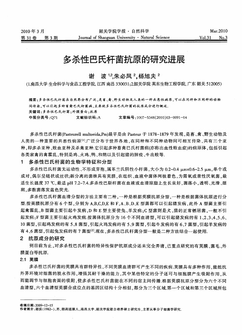 多杀性巴氏杆菌抗原的研究进展