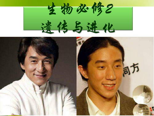 1.1 孟德尔的豌豆杂交实验(一)