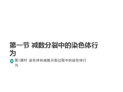 第一节 减数分裂中的染色体行为