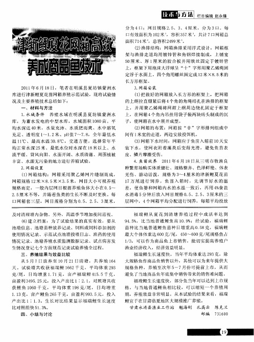 津新鲤夏花网箱高效养成商品鱼技术